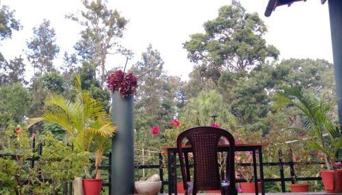 Kuttana Coffee Estate Homestay