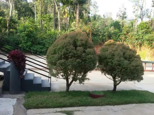 Kuttana Coffee Estate Homestay