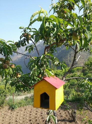 Agroturismo Divine Living Home Stay