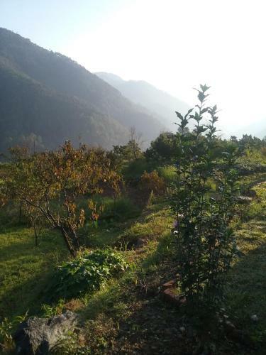 Agroturismo Divine Living Home Stay