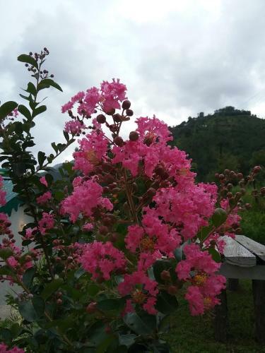 Agroturismo Divine Living Home Stay