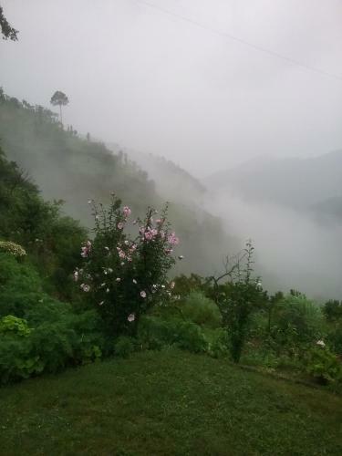 Agroturismo Divine Living Home Stay