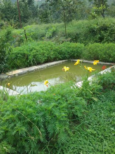 Agroturismo Divine Living Home Stay
