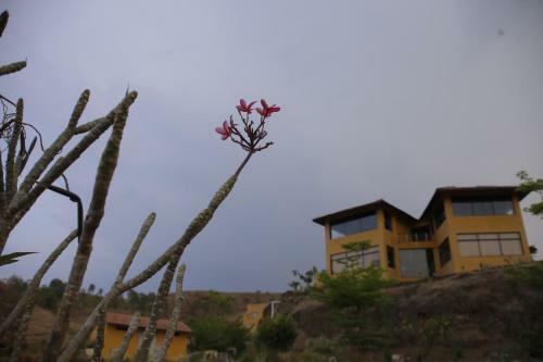 Hotel The Yellow Retreat