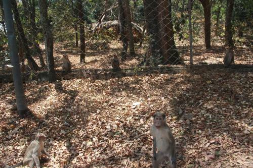 Snow White Holiday Homes