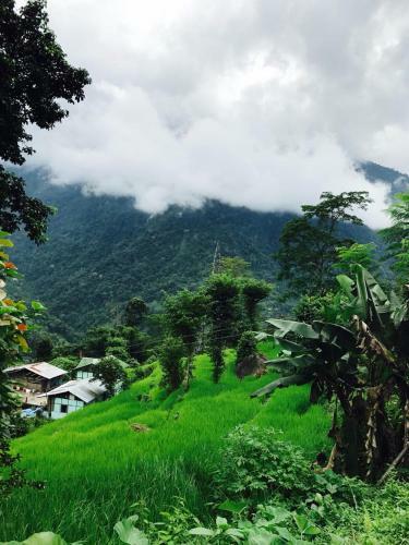 Shanti Niwas Homestay