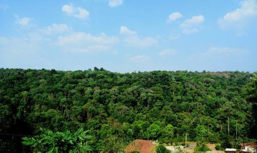 Shreegandha Homestay
