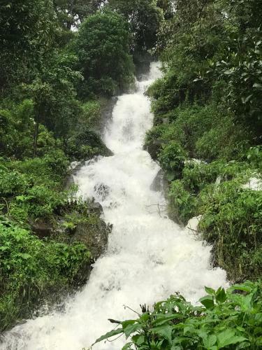 Shreegandha Homestay