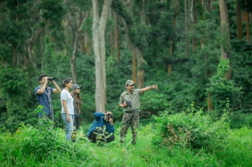 Hotel Ama Plantation Trails, Chikmagalur