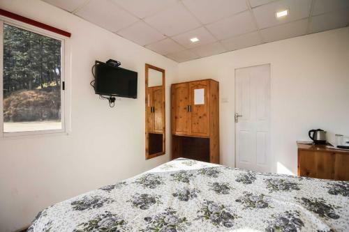 Bed & Breakfast Dhaulpur Lodge