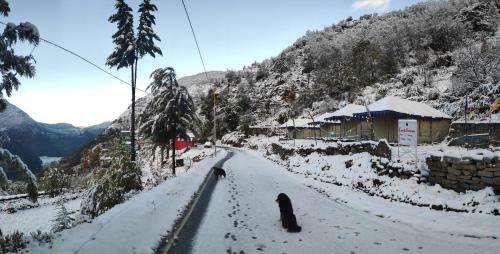 Hotel Casa En Himalayas