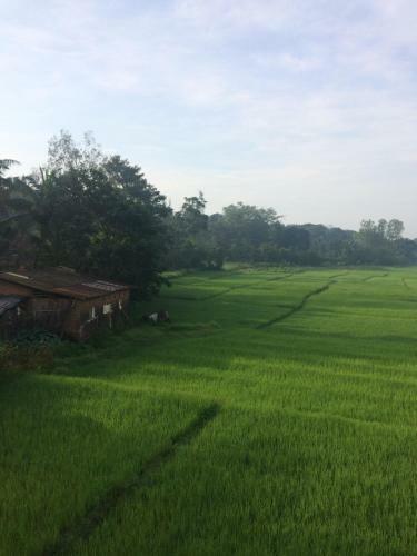 Ibbani Homestay, Siddapur