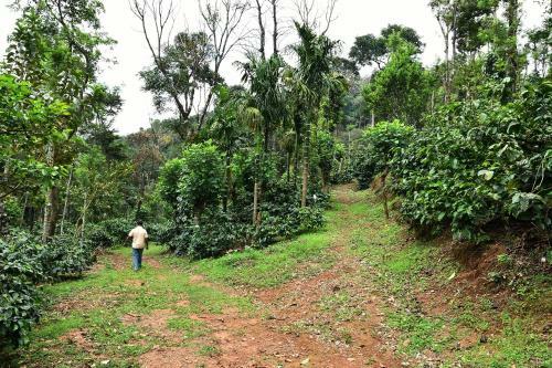 Karadikallu Homestay