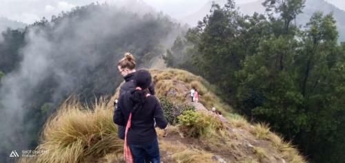 Bed & Breakfast Munnar Jungle Camp