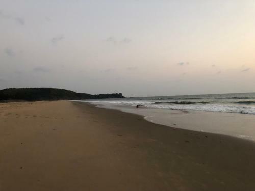 Hotel 5 Mile Beach Resort