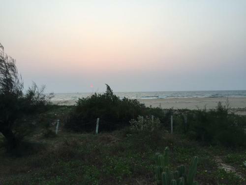 Hotel 5 Mile Beach Resort