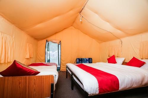 Bed & Breakfast Oyo 40829 Alpenglow Camp