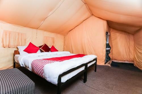 Bed & Breakfast Oyo 40829 Alpenglow Camp