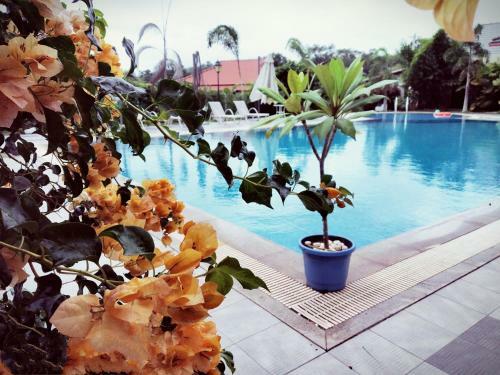 Hotel The Yellow Bamboo Resort & Spa