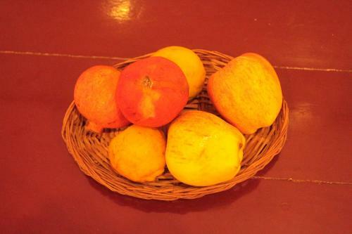 Posada Chettinaadu Narayana Inn