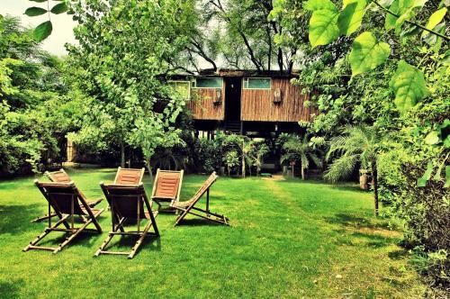 Hotel The Tree House Resort