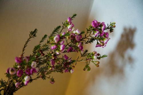 Bed & Breakfast Tabano Ristorante-casolare