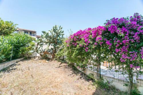 Apartamento Appartamento Le Farfalle 19