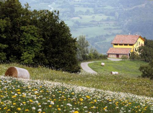 Agroturismo Green Park Monastero