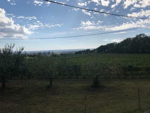 Apartamento Alberata - B&B