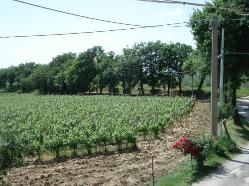 Apartamento Alberata - B&B