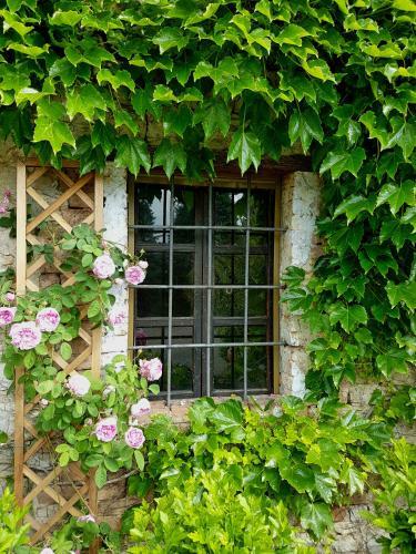 Bed & Breakfast Villa La Palazzina