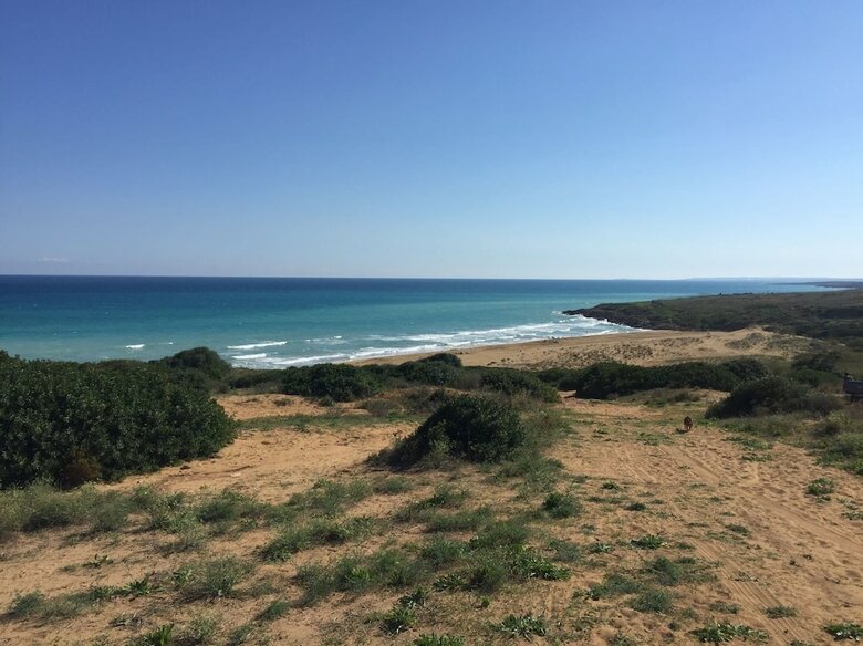 Lodge Iuta Glamping & Farm