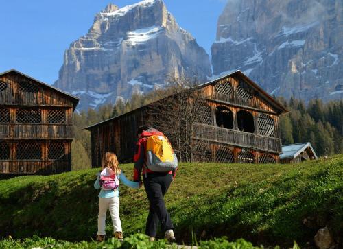 Apartment El Fogher In Dolomites