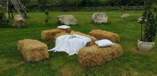 Agroturismo Casale Valle Agnese