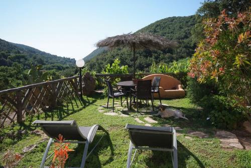 Il Villino Isola D'elba-ortano