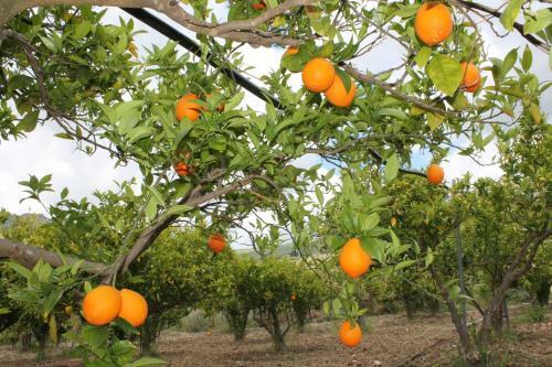 Agroturismo Tenuta Lanza Il Mulino