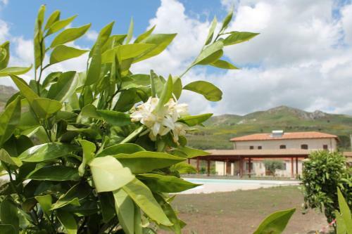 Agroturismo Tenuta Lanza Il Mulino