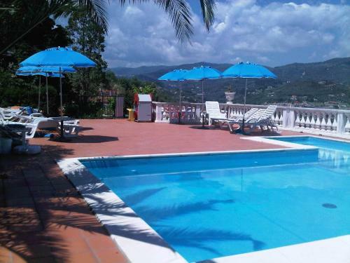 Il Sogno Negli Ulivi