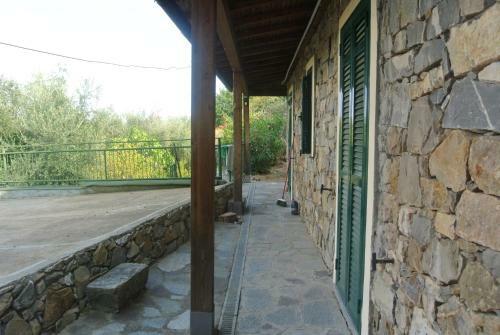 Il Sogno Negli Ulivi