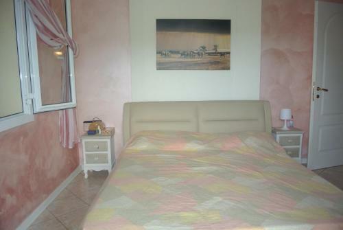 Il Sogno Negli Ulivi