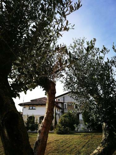 Hotel Tenuta Ferrara