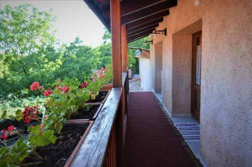 Agroturismo Colja Jozko Farm Stay