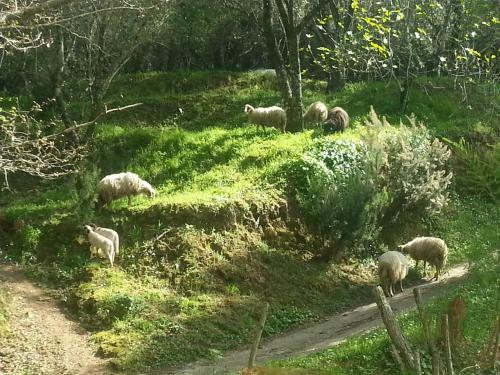 Agroturismo Agriturismo Casa Gioffr�