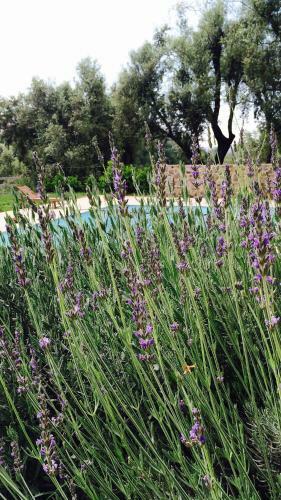 Agroturismo Agriturismo Casa Gioffr�