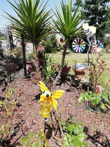 Agroturismo Agriturismo Elisina