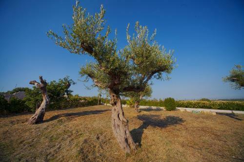 Bed & Breakfast Fior Di Loto Relax