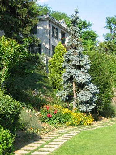 Bed & Breakfast Villa Arabella