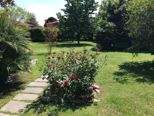 Bed & Breakfast Rainbow Relais