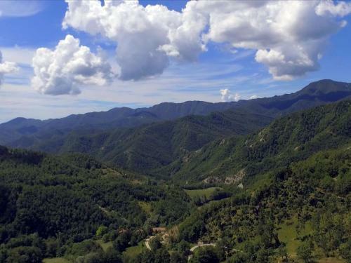 Vintage Apartment In Emilia-romagna Near The Forest
