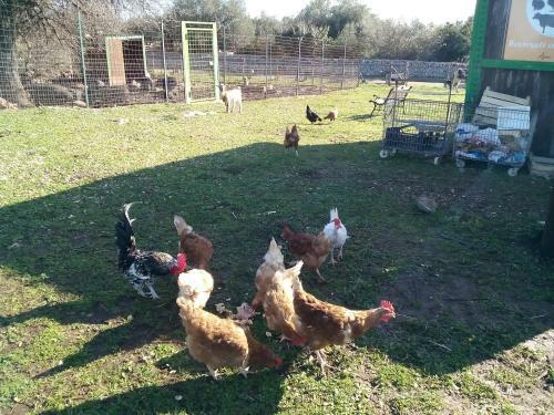 Agroturismo Agriturismo Agrimilo